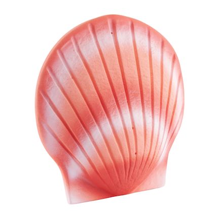 Abel Funeral Urn Shell Coral